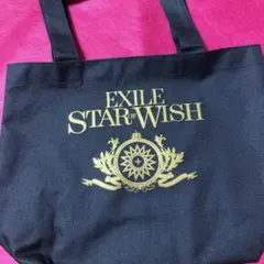 EXILE STARofWISHミニトートバッグ未使用品