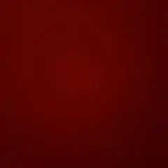 あきら様限定