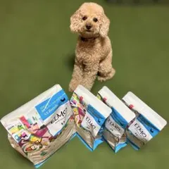ELMO リッチインチキン 成犬用3キロ×2 - メルカリ
