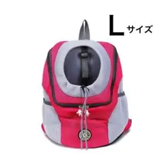 Item thumbnail for item 4bef6711-3dfd-462d-b3ef-37c14567b62d