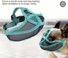 Item thumbnail for item 905711f3-36c1-40e3-bac9-e6c38fa54dbd