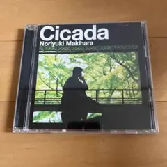槇原敬之/cicada