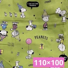 Item thumbnail for item 35168586-22a8-40ba-85a2-35310bcdd4f9