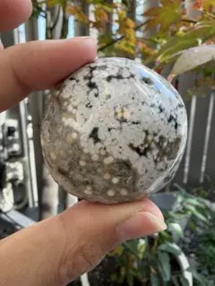 【超希少！】8th vein オーシャンジャスパー　エイスベイン　エイトヴェイ