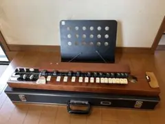 2026年最新】木村 大正琴の人気アイテム - メルカリ