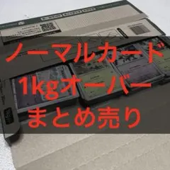 ノーマルカードまとめ売り【1kgオーバー】Gレギュ以降