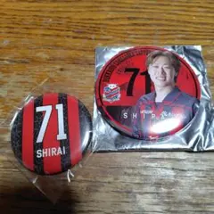 北海道コンサドーレ札幌　コンサドーレ札幌　缶バッジ　白井陽斗のサムネイル