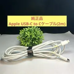 純正品　Apple USB-C to Cケーブル(2m)