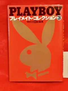 月刊 プレイボーイ 日本版創刊第2号 - メルカリ