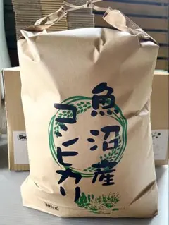 令和７年産 魚沼産コシヒカリ ５キロ精米（訳あり）のサムネイル