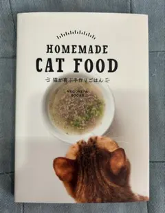 Item thumbnail for item 63e40d90-13c2-4326-ab16-360399102b05