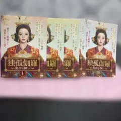 独孤伽羅 〜皇后の願い〜 【全28巻】 レンタル版DVD 全巻セット - メルカリ