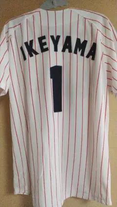 池山隆寛 応援グッズ