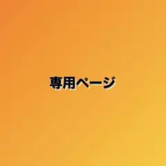 専用ページ