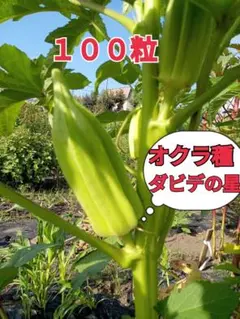 もなか様 リクエスト 4点 まとめ商品