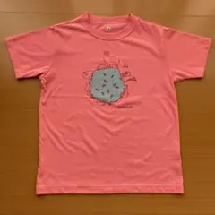 Item thumbnail for item 9de0ecab-20aa-41b6-968c-e526fe2a4645