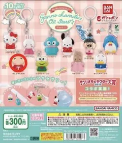 サンリオオールスターズめじるしアクセサリーのサムネイル