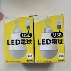 USB LED電球 昼光色 2個セット