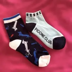 picone レディースウェア