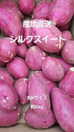としき様専用シルクスイート　丸Mサイズ　約10kg
