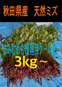 まみむめも様専用