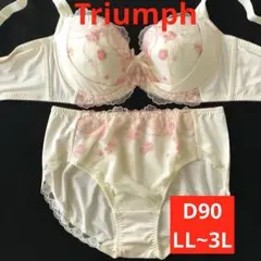 新品未使用 トリンプ Ｄ９０脇高リフトアップブラ＆ショーツ ＬＬ~３Ｌセット