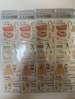 【新品未使用】大人の図鑑シール 歯編