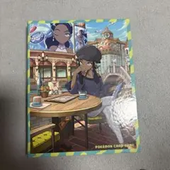 ルリナの休息　ポケモンカードゲーム カードファイル