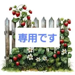 専用です　さわやかコットン 3色