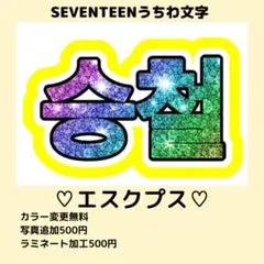 【2個目半額】セブンティーン　エスクプス　スンチョル　ネームボード　うちわ文字