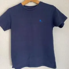 Tシャツノースフェイス