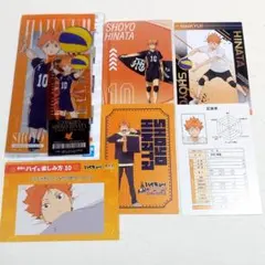 ハイキュー!! 日向翔陽 一番くじチケットケース・ポストカード　７点セット
