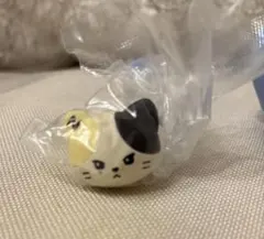 ぷくっとリング zeroni ゼロニ taenini リニニ リッキー