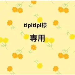 tipitipi様　おまとめ品専用出品