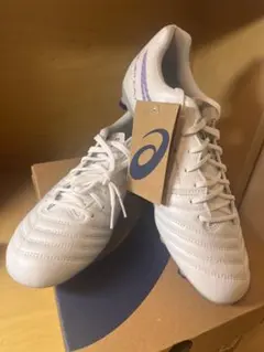 2025年最新】ds light x-fly pro 2 26.0の人気アイテム - メルカリ