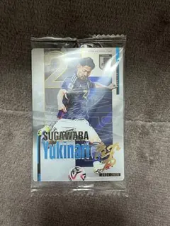 サッカー日本代表 スポーツ選手