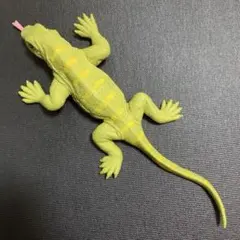 ナイルオオトカゲ クロコダイル　&co デアゴスティーニ　アンドコ