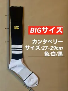 《カンタベリー/27-29cm》ラグビーソックス_288-2