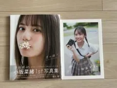 2026年最新】小坂菜緒 アザーカットの人気アイテム - メルカリ
