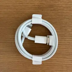 iPhone 純正　ライトニングケーブル　タイプC