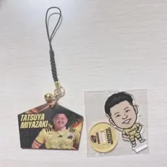 2025年最新】サントリーサンゴリアスの人気アイテム - メルカリ