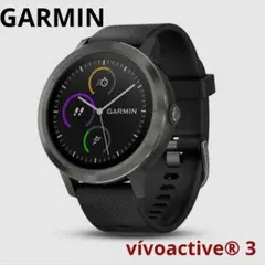 ガーミン GARMIN ViVoactiVe3 Black Slate　GPS