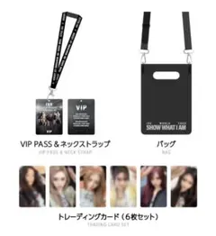 IVE VIP限定特典 日本 京セラ公演 - メルカリ