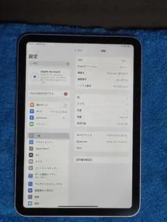 iPad mini 第６世代, Wi-Fi, 64GB,ピンク,本体