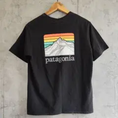 Patagonia / Logo Ridge Responsibili-Tee