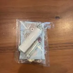 ガチャガチャ ポールアンドジョー コスメマスコットコレクションvol.1