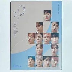 SEVENTEEN 舞い落ちる花びら CD