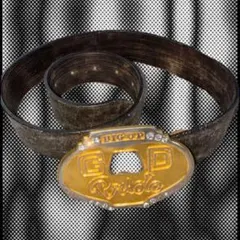 Y2K ゴールドバックル付き黒ベルト