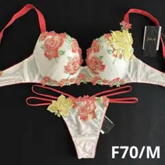サルート 白雪姫 D65/M IV 16 フロントエックス＋ブラ ソング タンガ