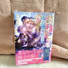 捨てられた王妃は、孤高の竜騎士に愛される 青と赤の激闘